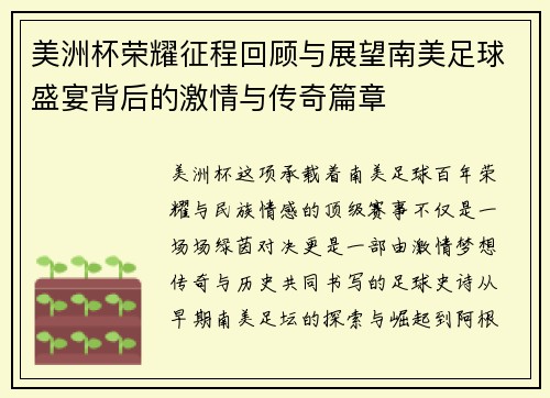 美洲杯荣耀征程回顾与展望南美足球盛宴背后的激情与传奇篇章